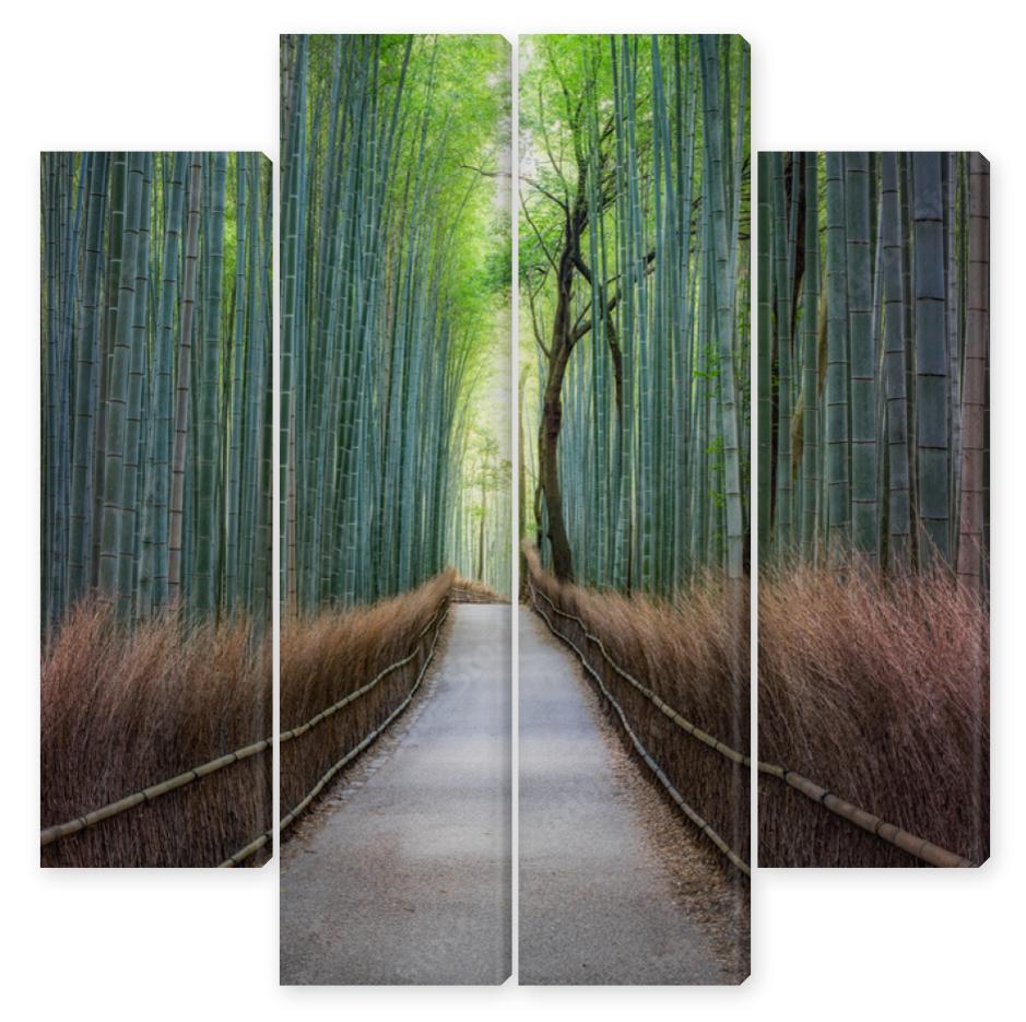 Obraz Kwadryptyk Bamboo forest in Arashiyama,