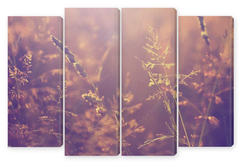 Obraz Kwadryptyk Blurry vintage meadow