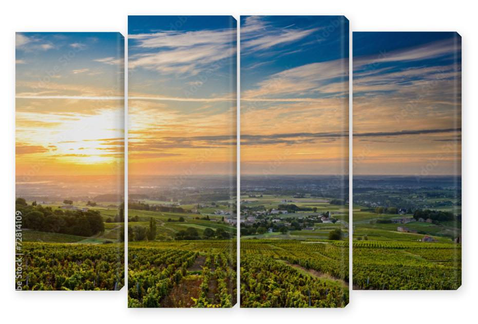 Obraz Kwadryptyk Sunrise at Beaujolais vineyard