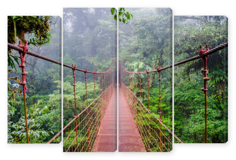 Obraz Kwadryptyk Bridge in Rainforest - Costa