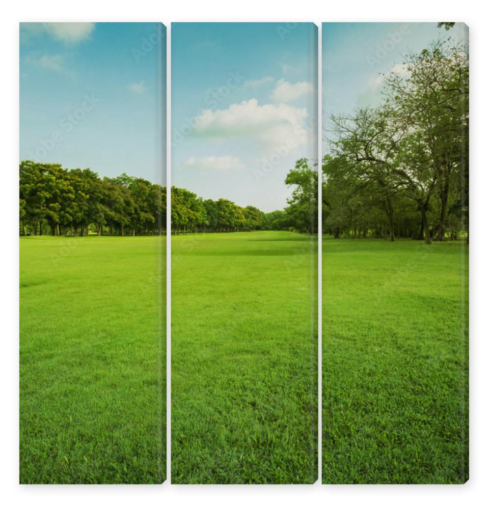 Obraz Tryptyk green grass field in public