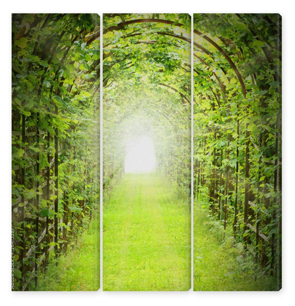 Obraz Tryptyk Green tunnel with sun rays in