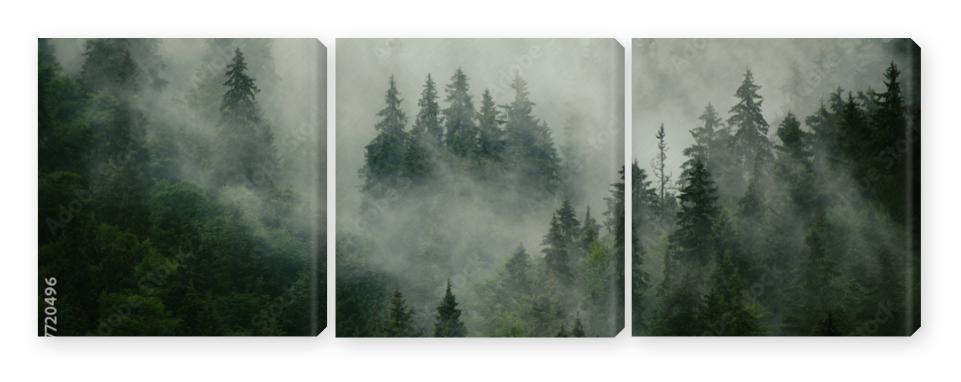 Obraz Tryptyk Misty landscape with fir