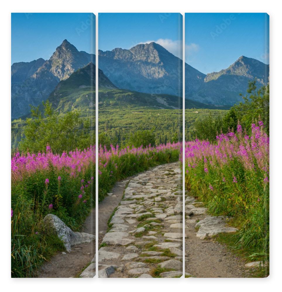 Obraz Tryptyk Hala Gąsienicowa, Tatry, 