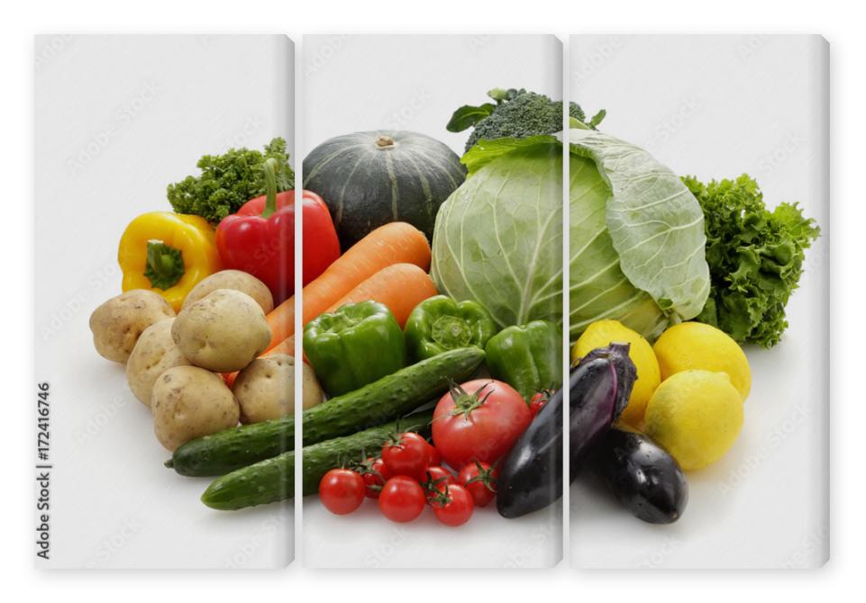 Obraz Tryptyk 野菜の集合　Vegetable set