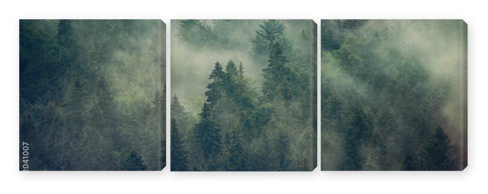 Obraz Tryptyk Misty landscape with fir