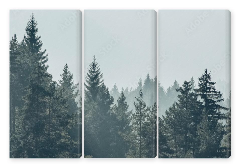 Obraz Tryptyk Pine trees forest stylized