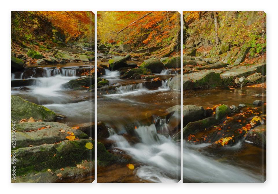 Obraz Tryptyk Autumn in the primeval forest.