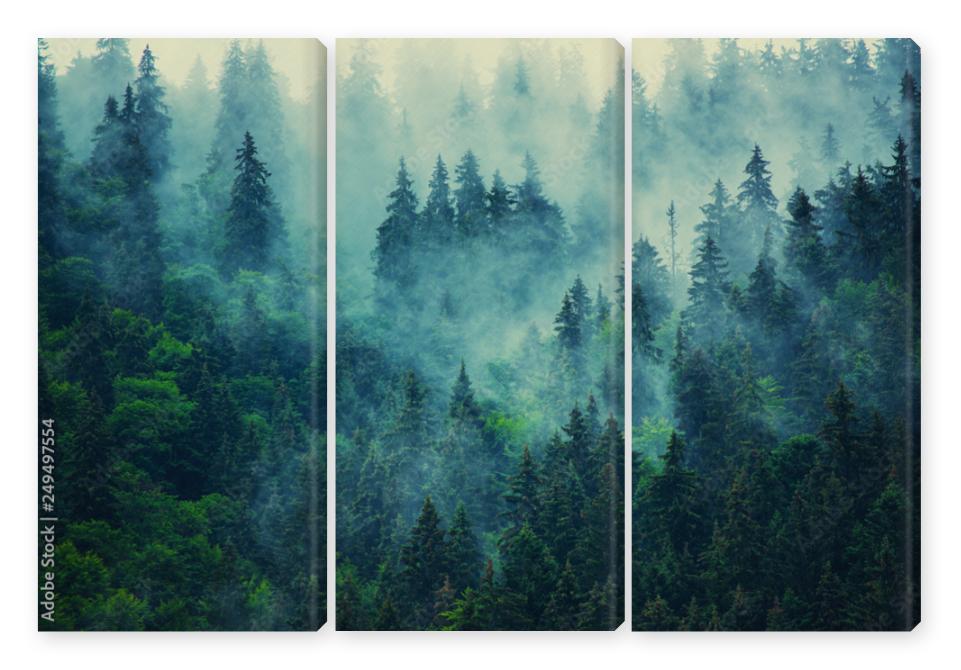 Obraz Tryptyk Misty mountain landscape