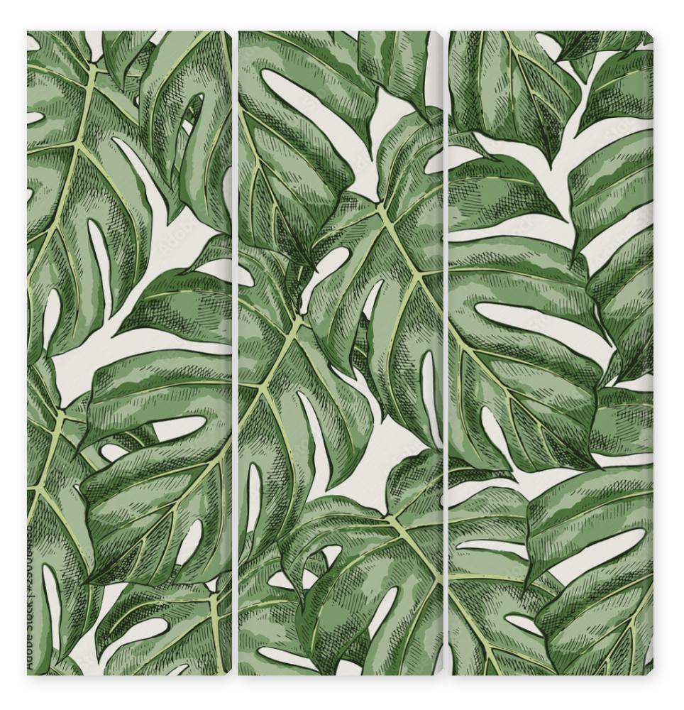 Obraz Tryptyk Monstera leaves hand drawn