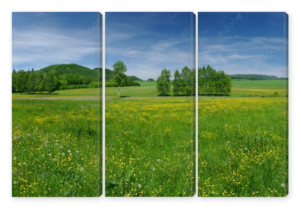 Obraz Tryptyk Fresh flowered meadow