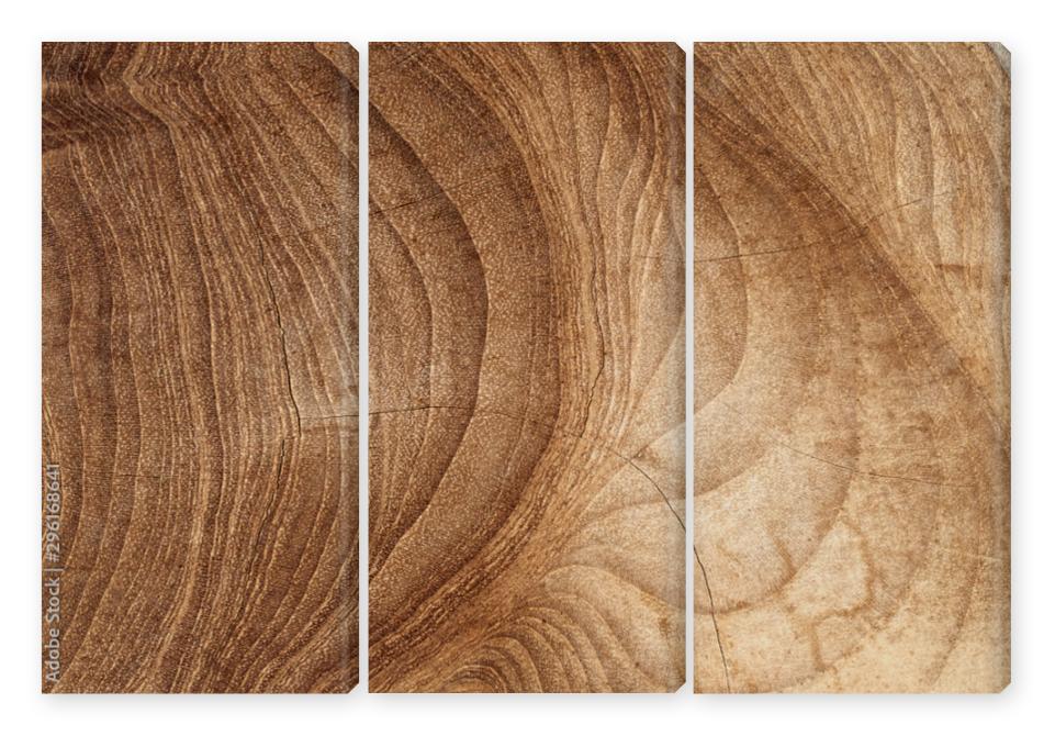 Obraz Tryptyk Wood texture