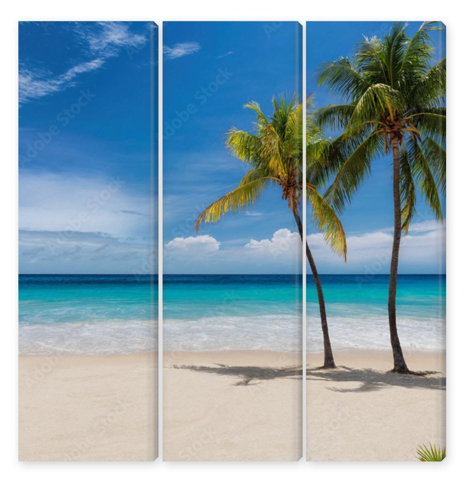 Obraz Tryptyk Tropical white sand beach with