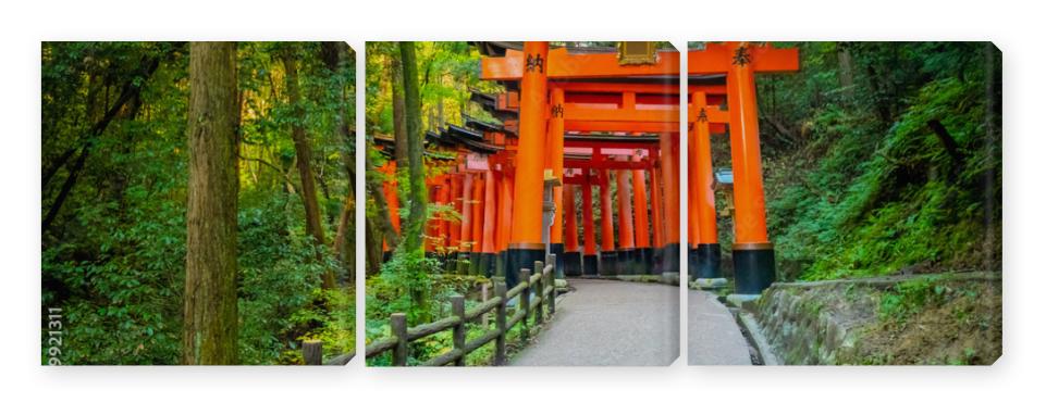 Obraz Tryptyk Japan. Kyoto. The orange gates