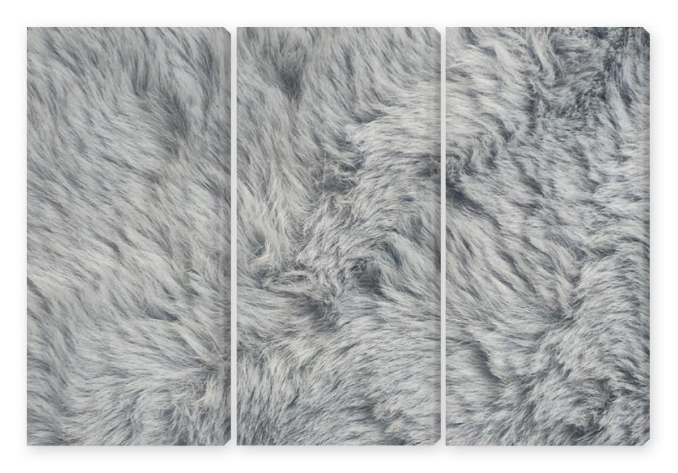 Obraz Tryptyk texture of fur