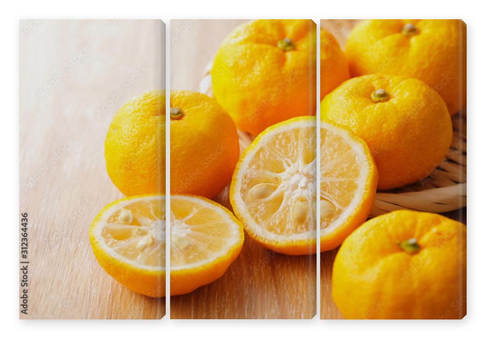 Obraz Tryptyk 柚子　Yuzu. Japanese citron