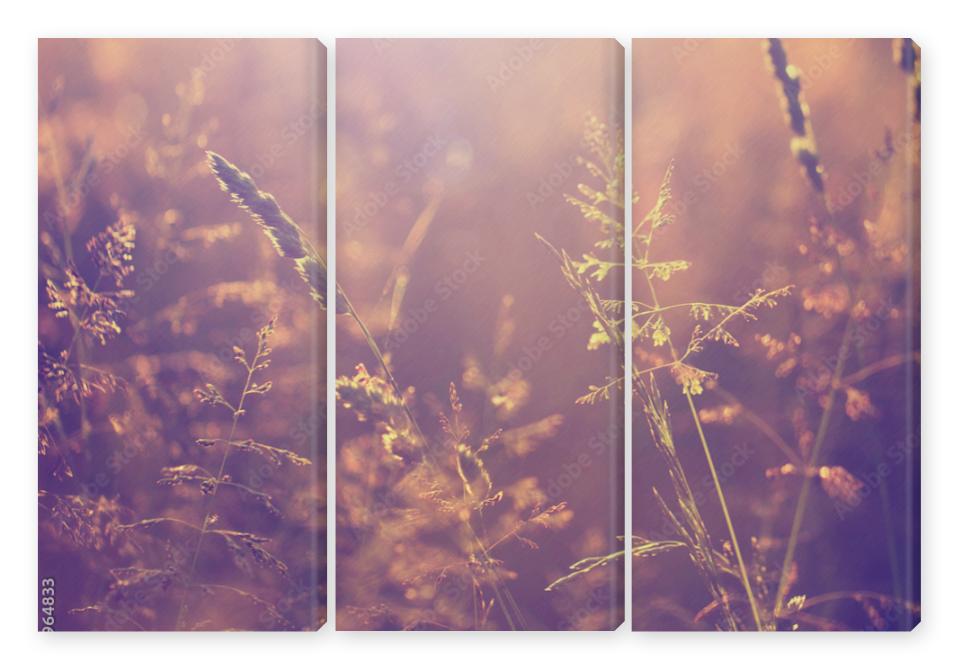 Obraz Tryptyk Blurry vintage meadow
