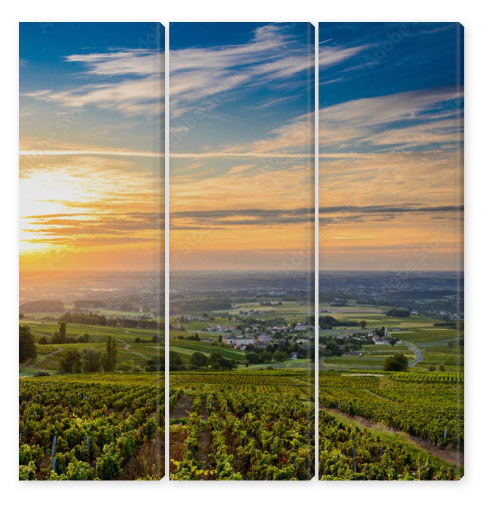 Obraz Tryptyk Sunrise at Beaujolais vineyard