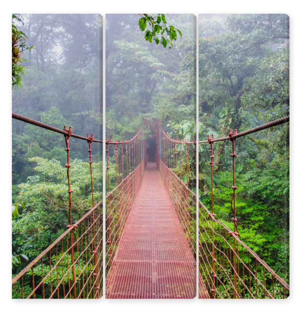 Obraz Tryptyk Bridge in Rainforest - Costa