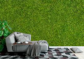 Tapeta seamless grass